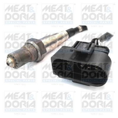 Oxygen Sensor
